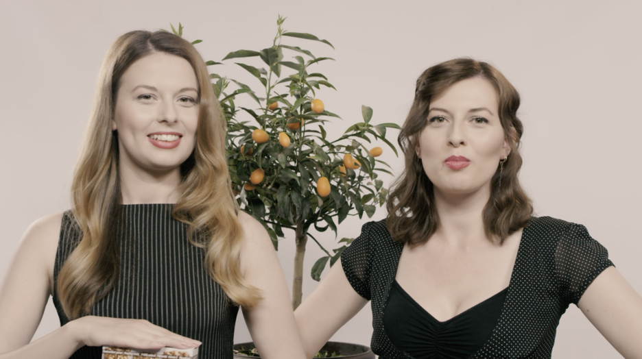 UNDP - Vetepunesimi.png