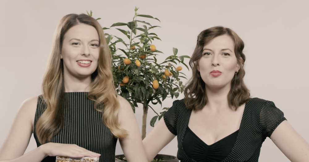 UNDP - Vetepunesimi.png